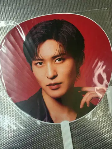 메구로 렌 부채 Dome Tour ON SnowMan