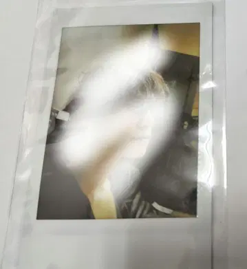 야자와 모토하루 씨 폴라로이드