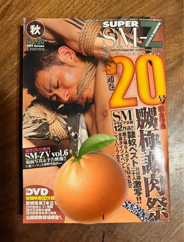 superSM-Z 2012년 봄호 N o30