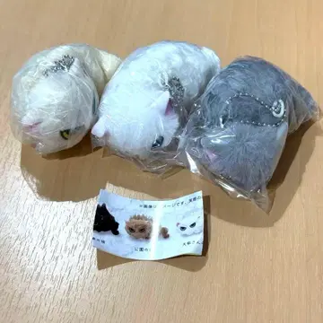 따르지 않는 고양이 봉제 인형 3종 세트