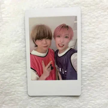 아즈 타이거 팬더 드래곤 하피카