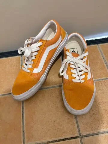 VANS 올드스쿨