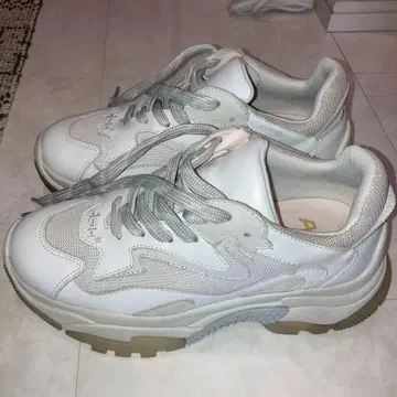 ASH 화이트 스니커즈