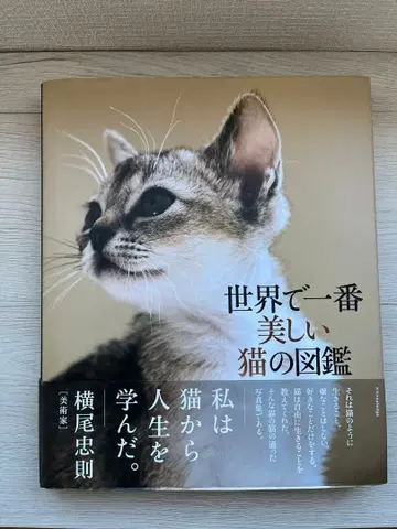 세상에서 가장 아름다운 고양이 도감