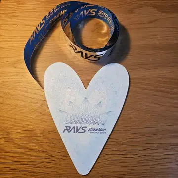 RAYS Snow Man Dome Tour 2024 낙하물