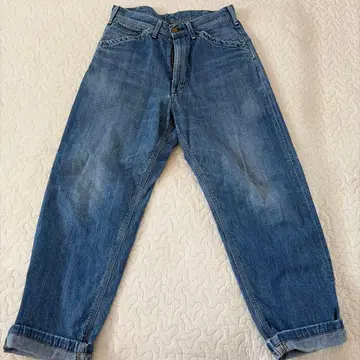 Lee 페인터 팬츠 파랑