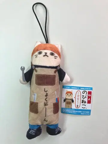 노비 고양이 이벤트 한정판