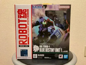 ROBOT혼 블루 디스티니 1호기 ver. A.N.I.M.E.