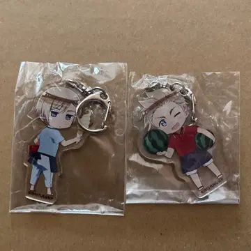 헤타리아 노르웨이 덴마크 애니카페 아크릴 키링