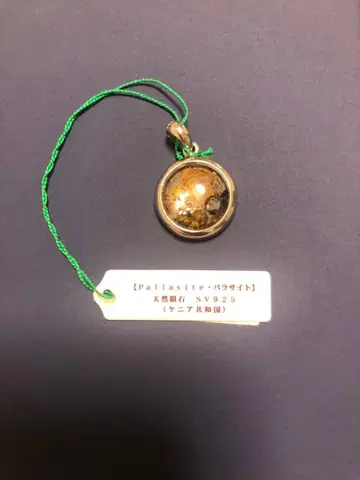 파라산트 운석 (세리코 운석) 보증서 포함 펜던트 탑