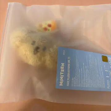 SEVENTEEN miniteen 키링 DK 도겸 DOA