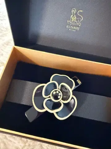 ALEXANDRE DE PARIS 머리핀 새상품 미사용