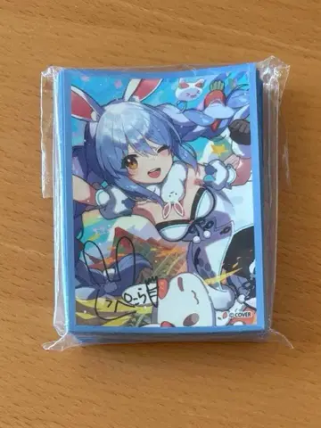 우사다 페코라 생일 기념 2022 슬리브 사이토 나오키