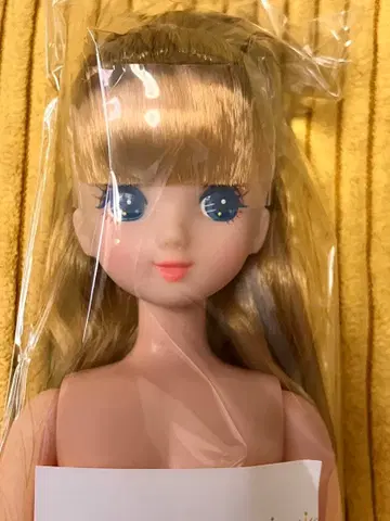 [ 미개봉 새상품 ] 오타노시미 인형 히나짱 리카짱 캐슬