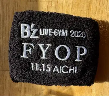 B'z LIVE-GYM 2025 -FYOP- 날짜 표기 리스트 밴드