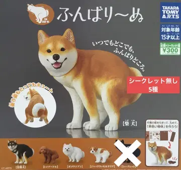 굼바리누 시크릿 없는 5종