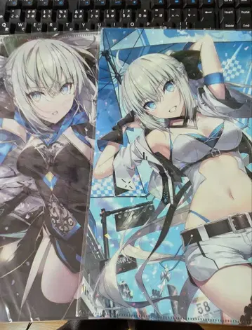 아미라 클리어 파일 FGO