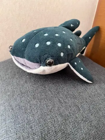 [ 해유관 한정판! ] 고래상어 봉제 인형
