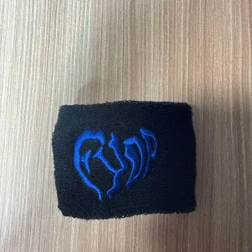 B'z LIVE-GYM 2025 리스트 밴드 FYOP