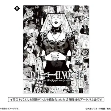 미사 아크릴 아트 패널 아크릴 아트 패널 B 데스노트 popup