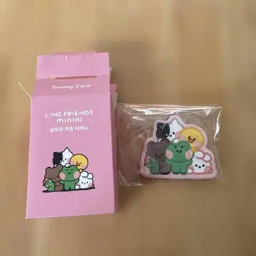 LINE FRIENDS 미니 Tmoney 키링형