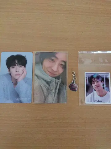 채종협 트레이딩 카드 참