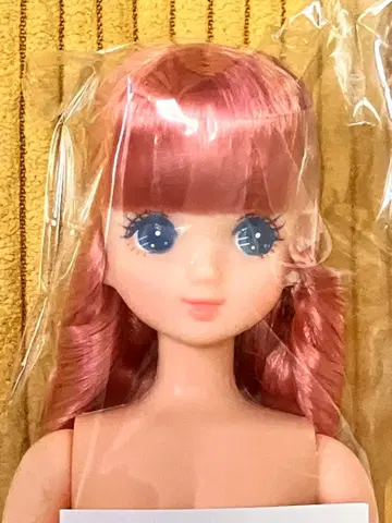 [ 미개봉 새상품 ] 오타노시미 인형 히나짱 리카짱 캐슬