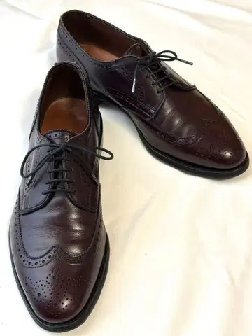 Allen Edmonds Concrd 9D