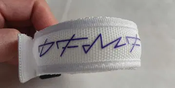 립 슬라임/블레스 라이트/화이트/RIP SLYME/밴드/DFMF