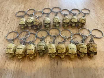 데스 소스의 증정 해골