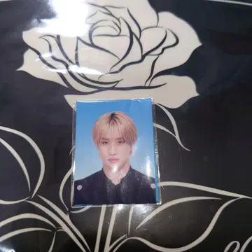 BALLSTIK BOYZ 마츠이 리키 증명사진