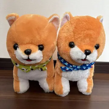 콩 시바 삼형제 꼬리 흔들흔들 2체 세트