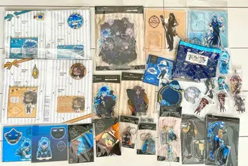 트위스테 이데아 레오나 오르토 묶음 판매