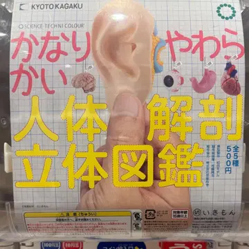 아주 부드러운 인체 해부 입체 도감 뇌, 위, 귀