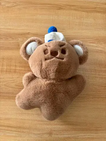 모자 달린 곰 봉제 인형