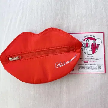 홍생강 입술 파우치