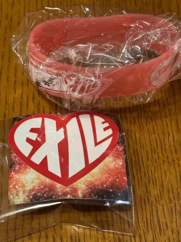 THEREASON EXILE 가챠 클리어 실리콘 블레스 스티커 세트