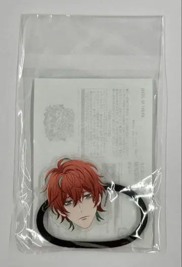 히프노시스 마이크 오카오 머리끈 칸논자카 돗포