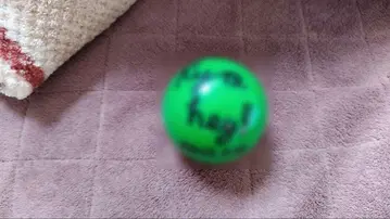 SnowMan 아베 료헤이 사인볼 i Do Me 2023