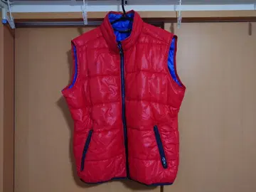 patagonia 파타고니아 충전솜 베스트 L USED품