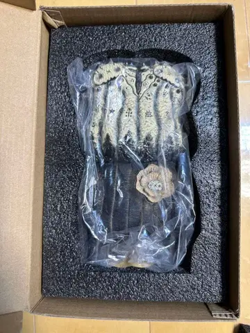 라본제소 copiapoa twinstar Robin Huang