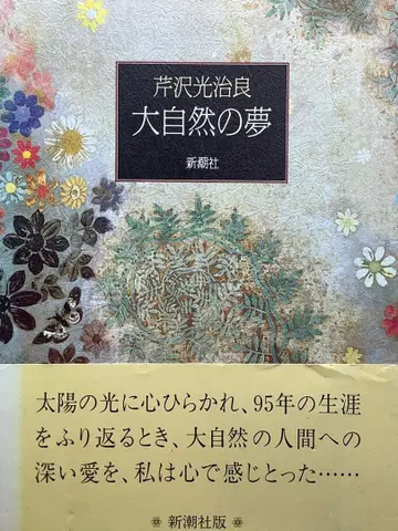 대자연의 꿈 세리자와 코지 로 신초샤