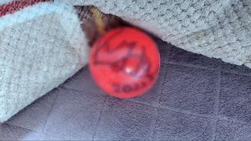 SnowMan 미야타테 료타 사인볼 2023 i Do Me