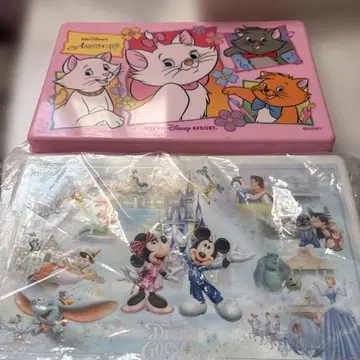 도쿄 디즈니 리조트 수납 박스 2점 세트