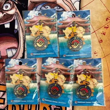 포켓몬 센터 오키나와 로고 핀즈 5세트