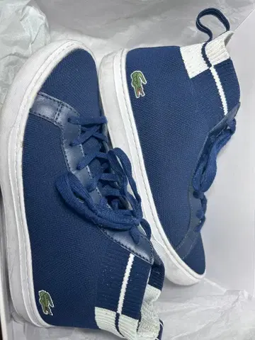 Lacoste 네이비 하이컷 니트 스니커즈