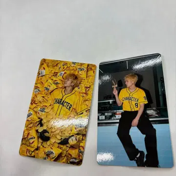 하세가와 신 CPD 코인 파 트레이딩 카드