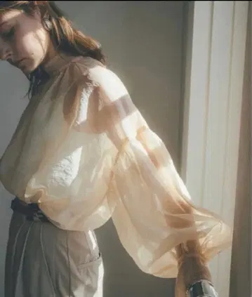 CLANE SHEER PUFF TOPS