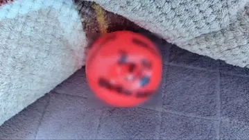 히나타자카46 이시즈카 요시키 사인볼 6번째 히나탄사이