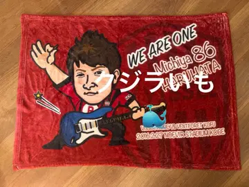 TUBE 하루하타 미치야 x 빗셀 고베 콜라보 담요 레어